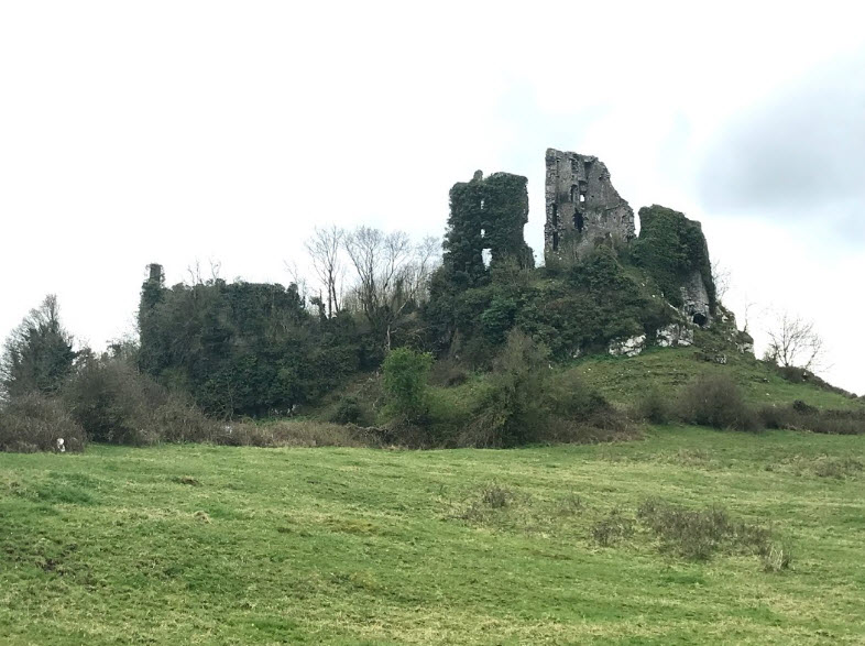 Carrigogunnell Castle, Ireland